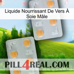 Liquide Nourrissant De Vers À Soie Mâle 25